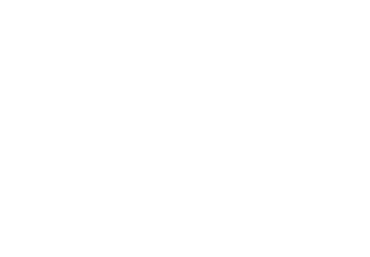 L&P Aesthetics Logo