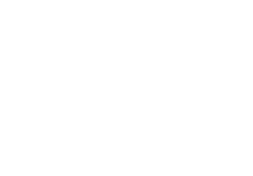 L&P Aesthetics - Palo Alto logo